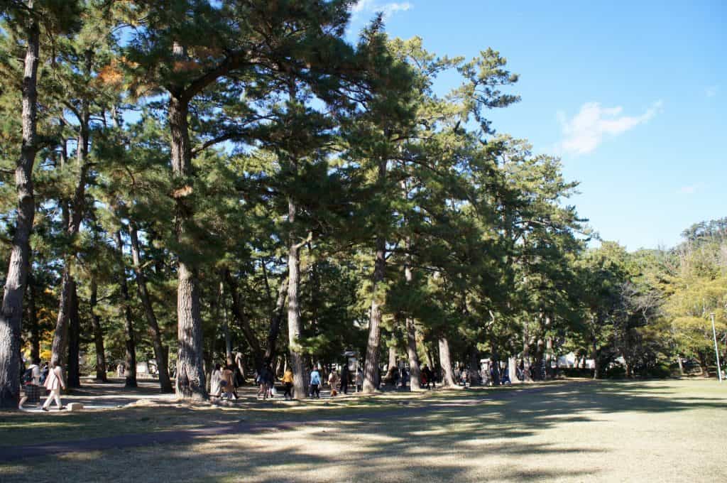 Izumo-taisha, Izumo Great Shrine, San'in Region, Shimane Prefecture, Japan