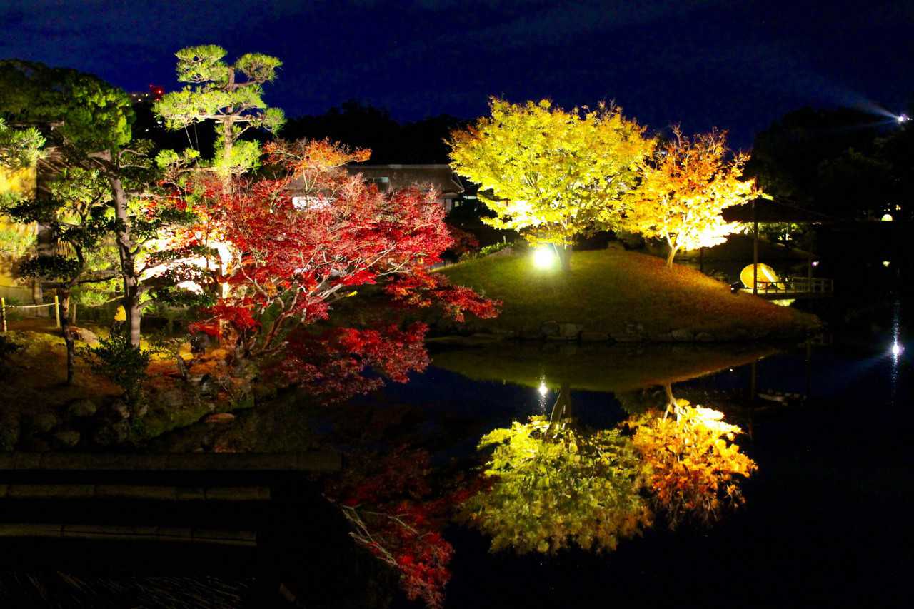 Korakuen Garden and Okayama Castle Fall Foliage