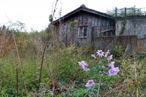Inujima Art Island Seirensho Museum Seto Inland Sea Okayama Prefecture