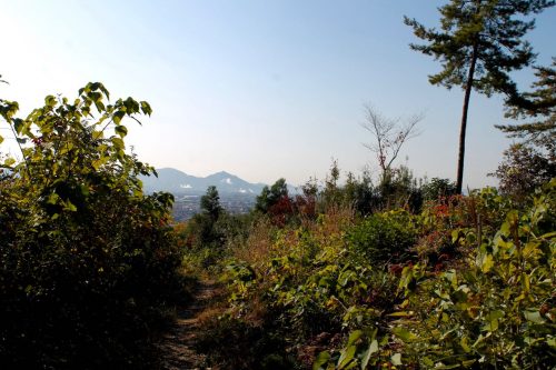 Sogenji Temple Buddhist Monastery Fall Foliage Okayama Prefecture