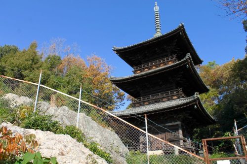 Sogenji Temple Buddhist Monastery Fall Foliage Okayama Prefecture
