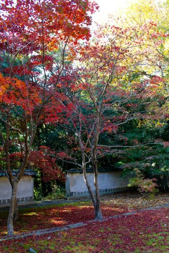 Sogenji Temple Buddhist Monastery Fall Foliage Okayama Prefecture