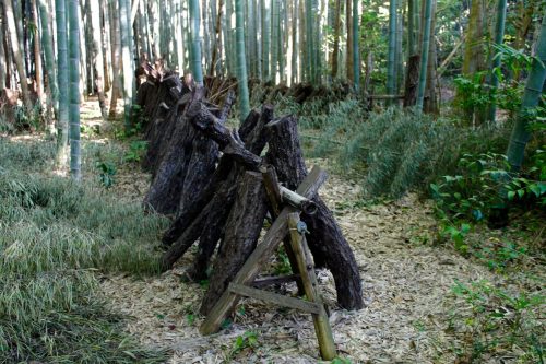 Sogenji Temple Buddhist Monastery Fall Foliage Okayama Prefecture