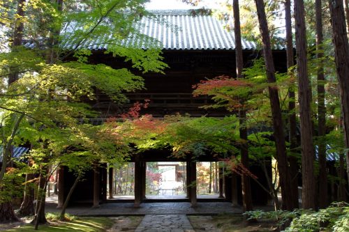 Sogenji Temple Buddhist Monastery Fall Foliage Okayama Prefecture
