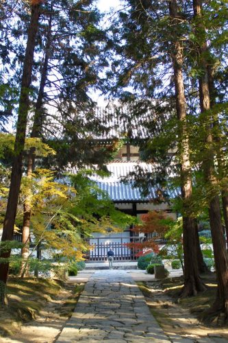 Sogenji Temple Buddhist Monastery Fall Foliage Okayama Prefecture
