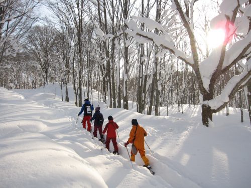 Snow shoeing in Tazawako area, Akita, Tohoku, Japan.