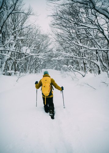 Deep powder in the Tazawako back country in Semboku, Akita.