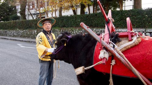 An ox-drawn cart and its driver in Izumi, Kagoshima.