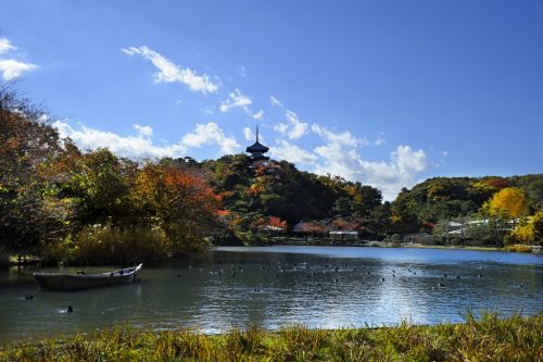 Sankeien garden