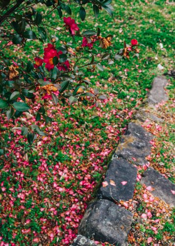 Oka Castle Ruins, Taketa city, Oita, Kyushu