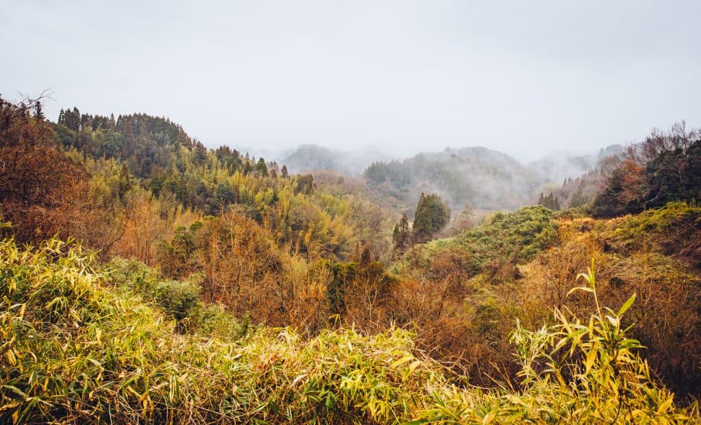 Japanese outdoors in Japan