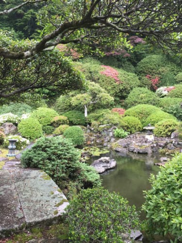 Private garden in Literature and History street