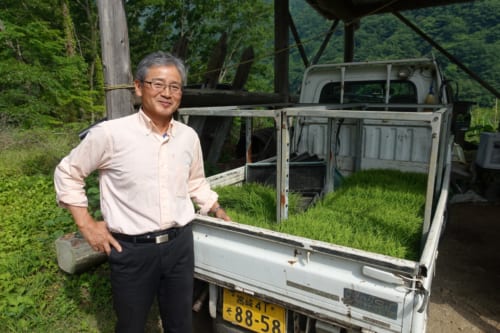 Farm stay in Takachiho, Kyushu, Japan.