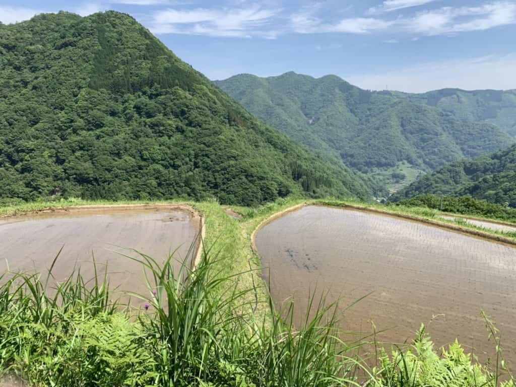 Traditional Hospitality at a Sake Producing Farm in Takachiho