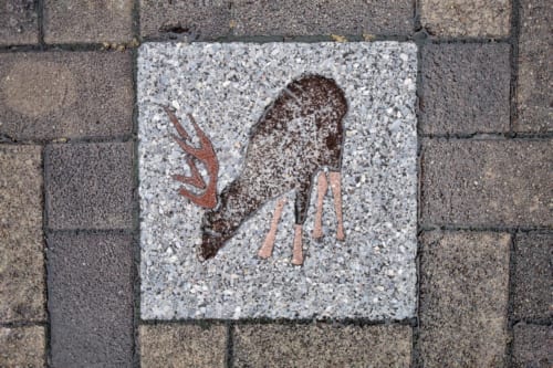 Animal images on the streets of Ojika