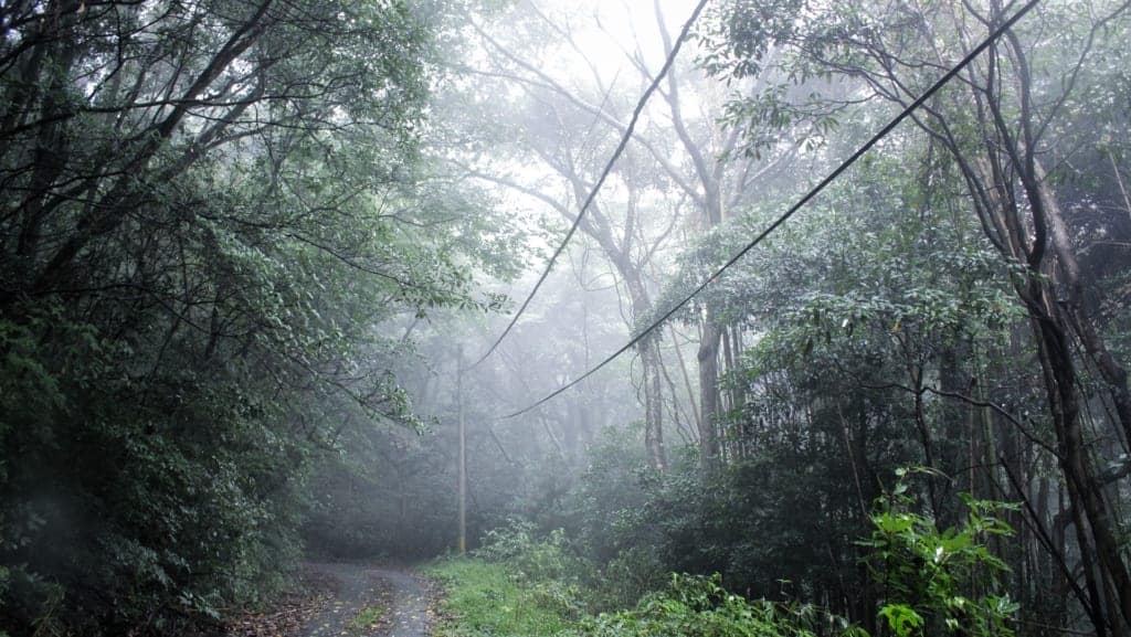 japan hiking trail in oita