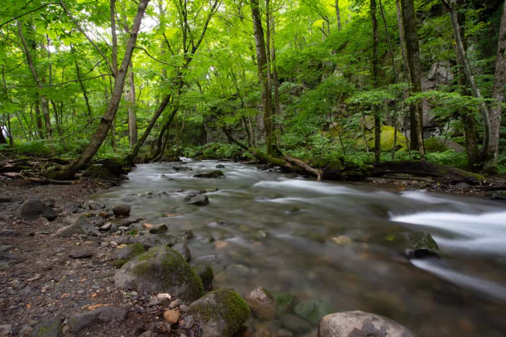 The Oirase Gorge in Aomori Prefecture.