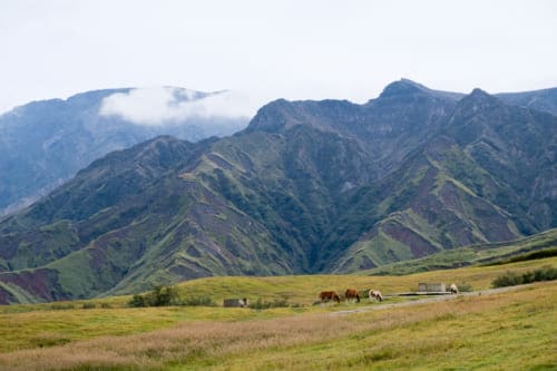 Best Outdoor Adventure Activities to Do in Aso, Kumamoto