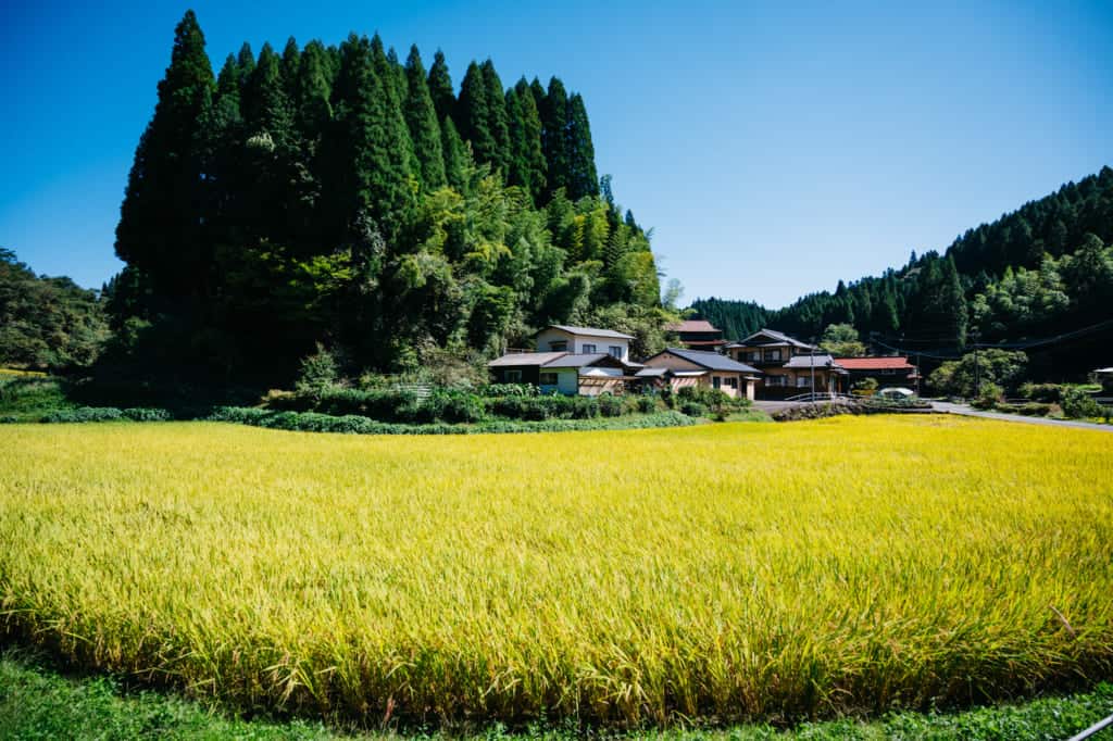 Cycling tour of the Aso Kujo region of Kumamoto