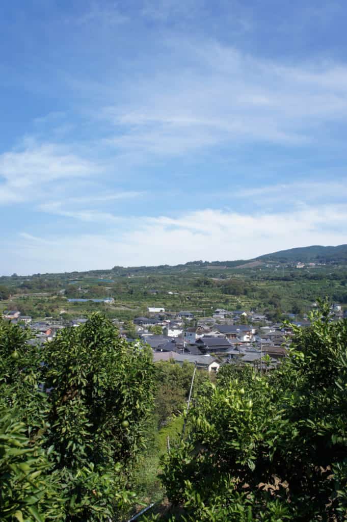 The landscape seen from Mizumoto Orange Garden
