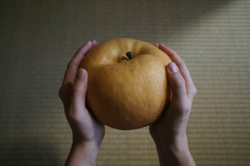 An Arao Jumbo Nashi, holded by two hands