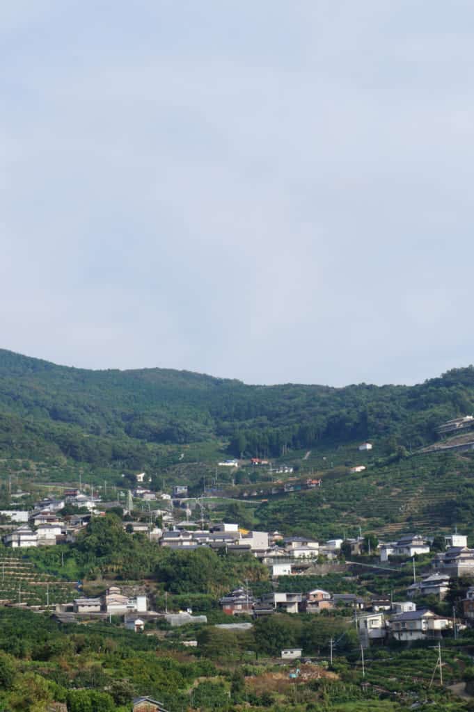 The citrus-planted landscape, seen from Kusamakura onsen Tensui