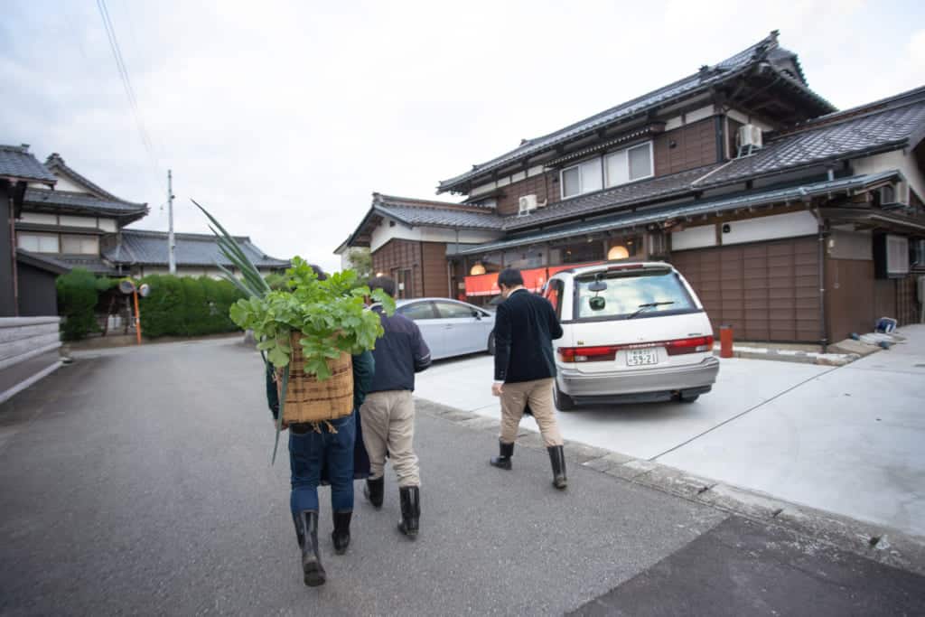 Breakfast harvesting in Murakami City. 