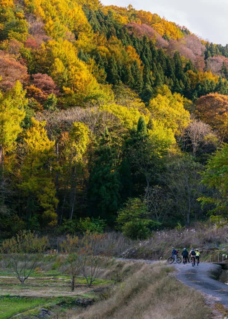 Fall colors on our cycling tour of Iiyama