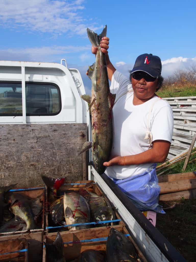 A Fisherman with salmon in Murakami, Niigata