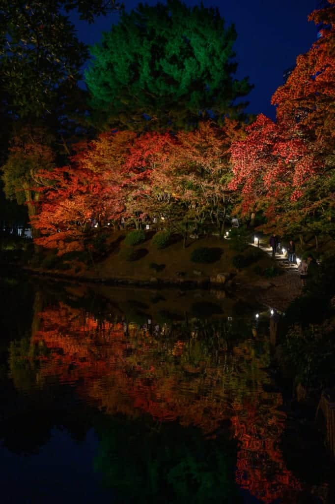 Autumn leaves illumination at Shukkeien