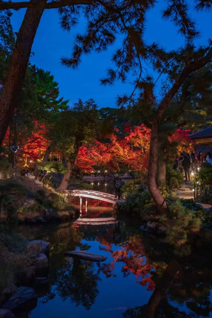Autumn leaves illumination at Shukkeien