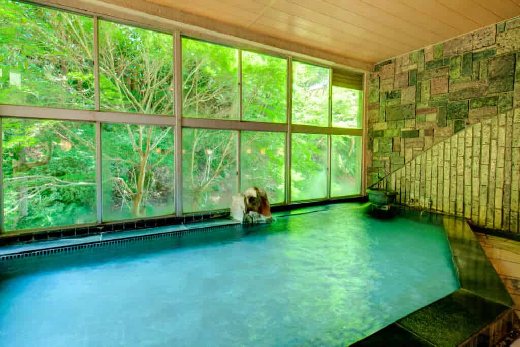 Onsen at Tsukubasan Edoya