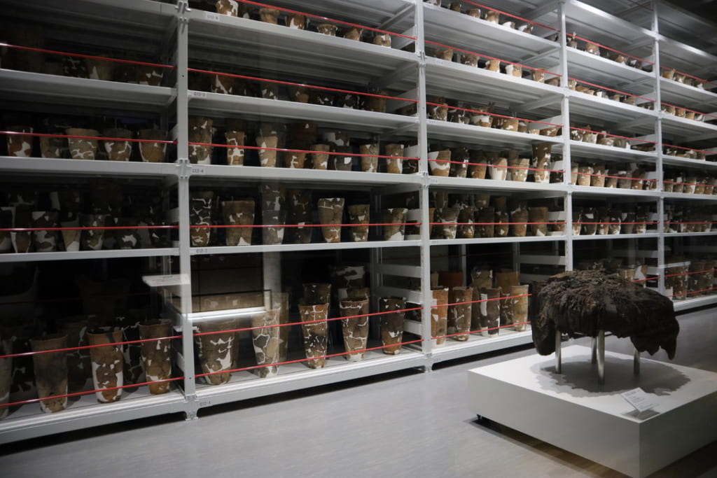 Pottery stored at Sannai-Maruyama