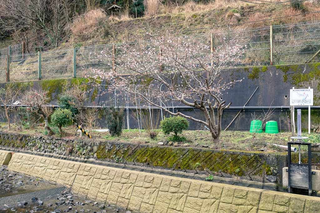 Kurotani Washi Paper village in Kyoto prefecture