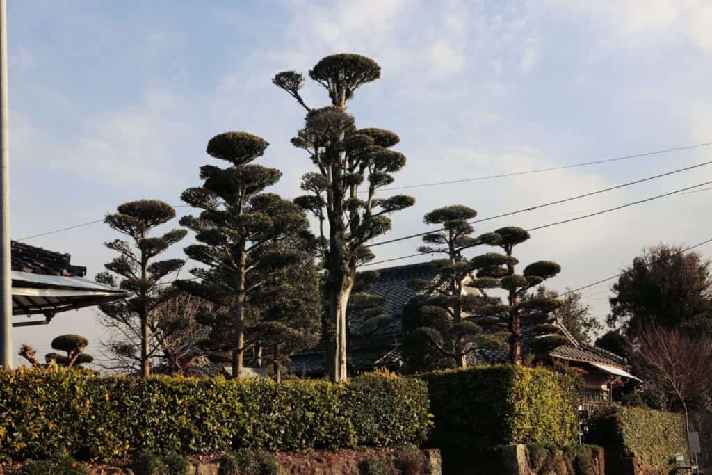 Izumi Inumaki in Izumi, Kagoshima, Japan