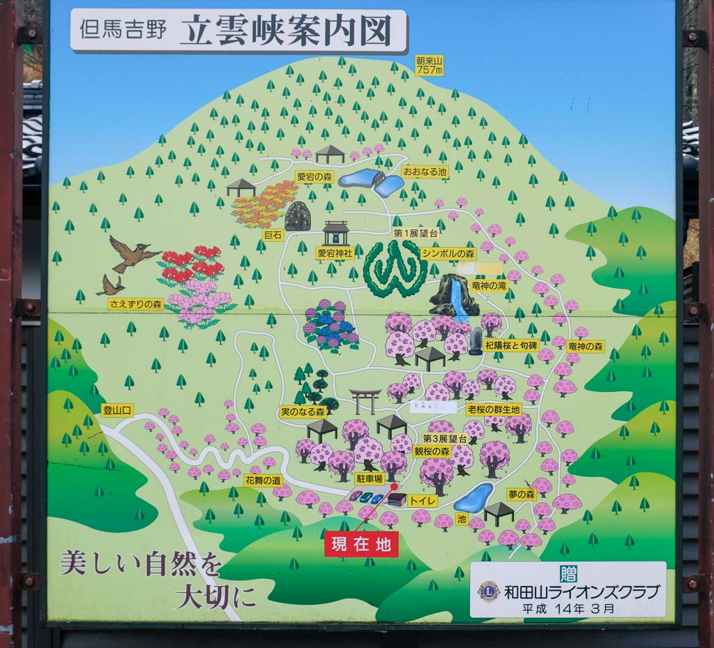 map of cherry blossoms spots at Ritsuun-kyo, Japan's castle in the sky
