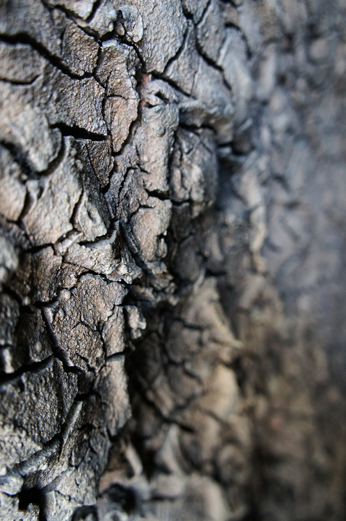 The blackened walls of the furnace