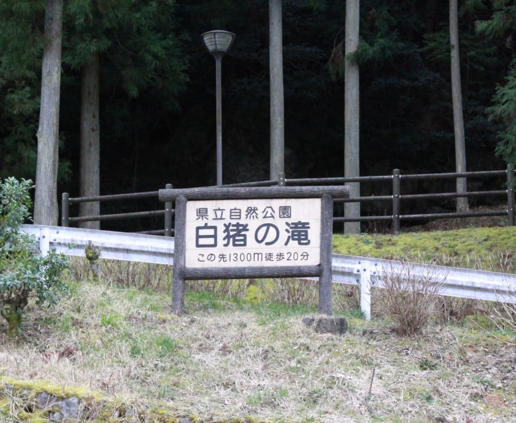 Shirai no Taki waterfall in Toon city.