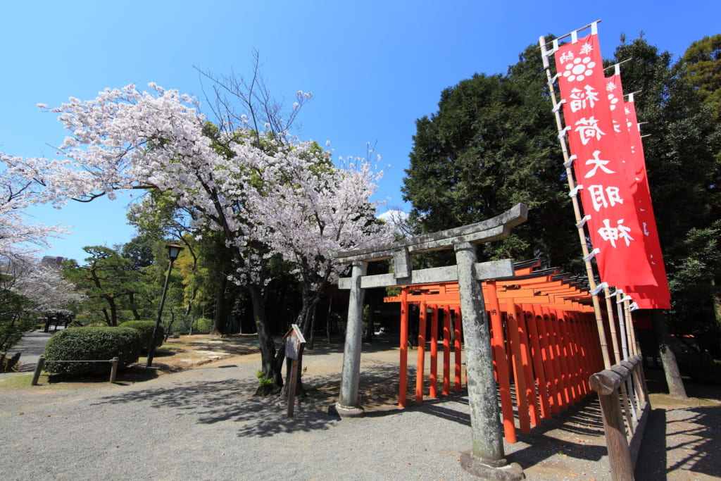 Red torii tunnel at Suizenji Park