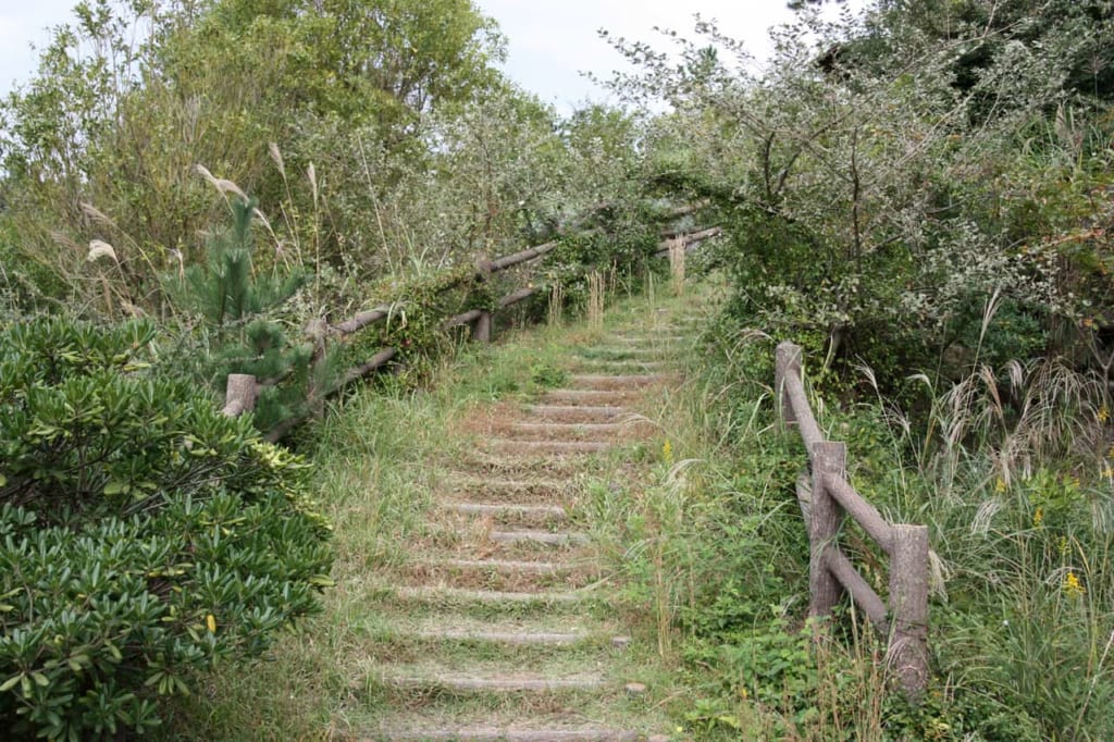 Dune area of Hitachi Seaside Park