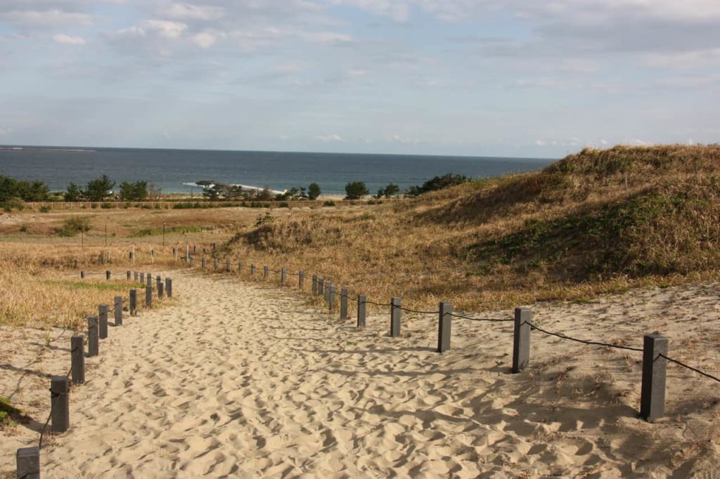 looking towards the pacific ocean