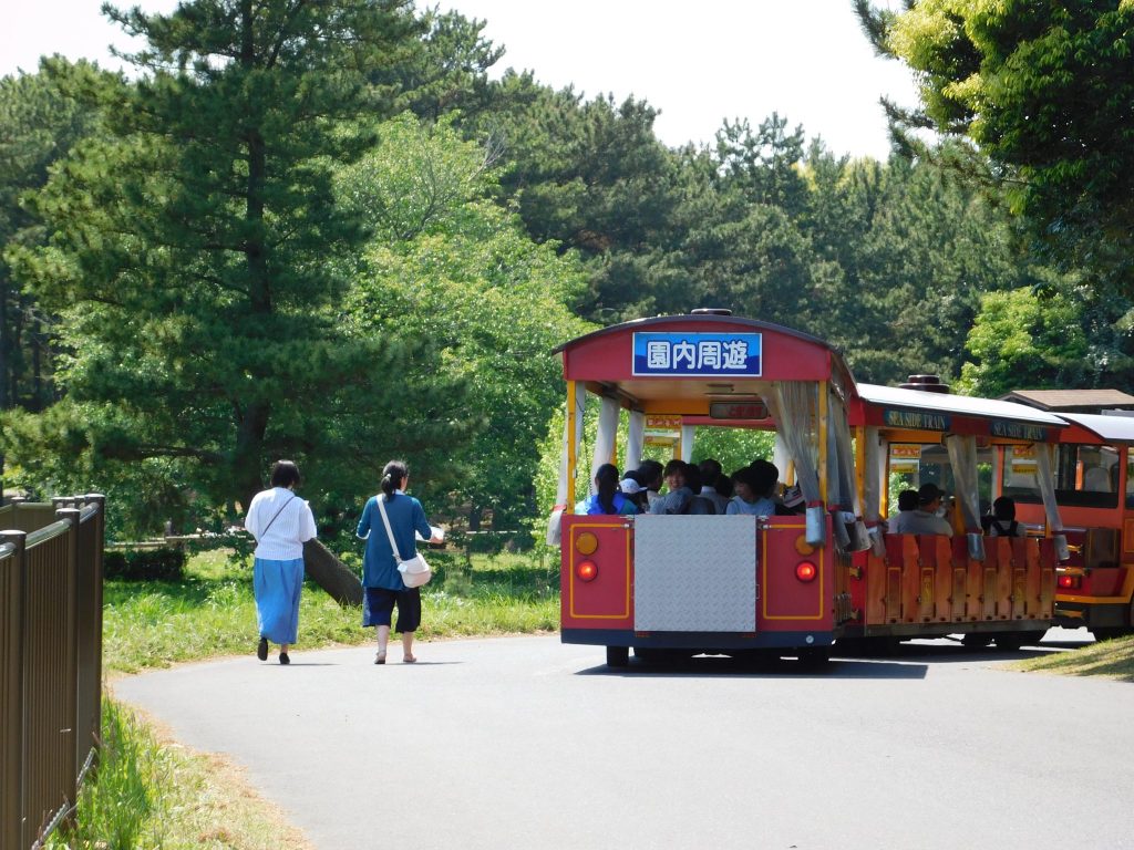 Train at Hitachi Seaside Park.