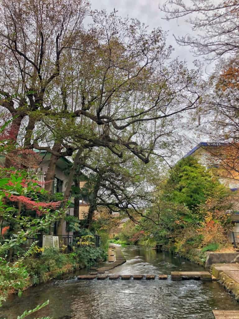 Beginnings of the Genbegawa in Mishima along the Hakone Hachiri