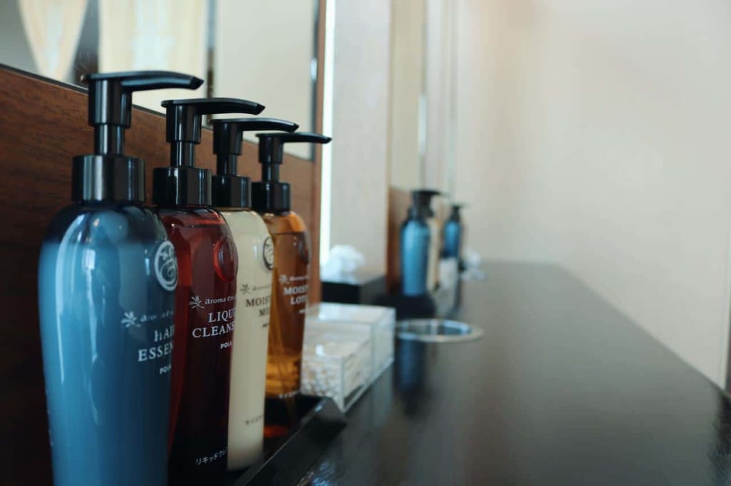 Details of the City Spa Tenku