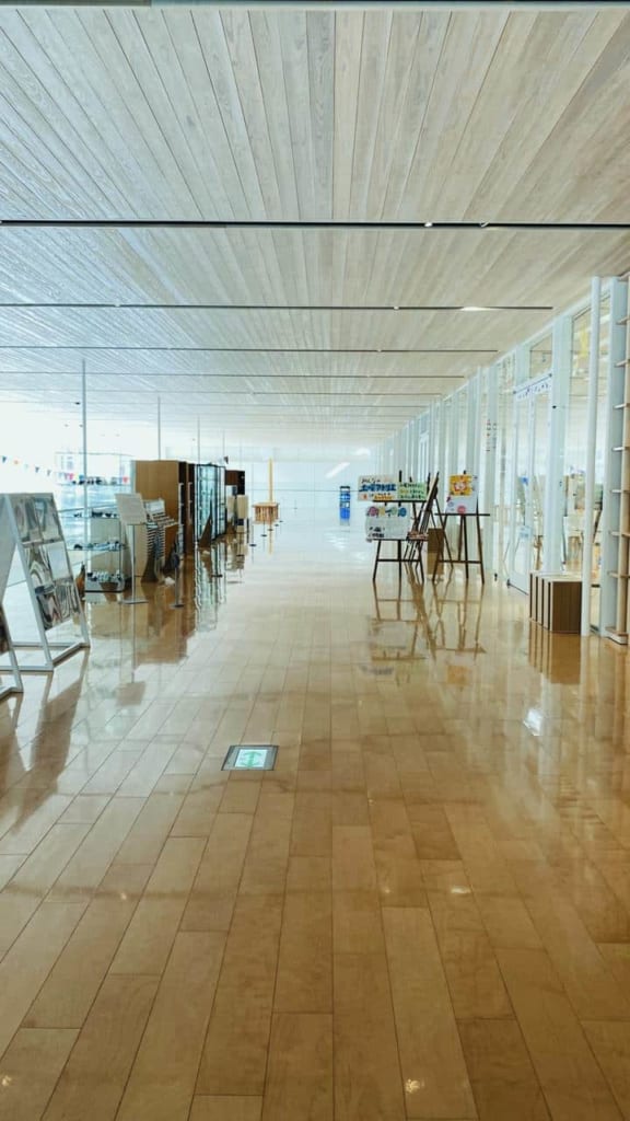 Corridors of the Museum