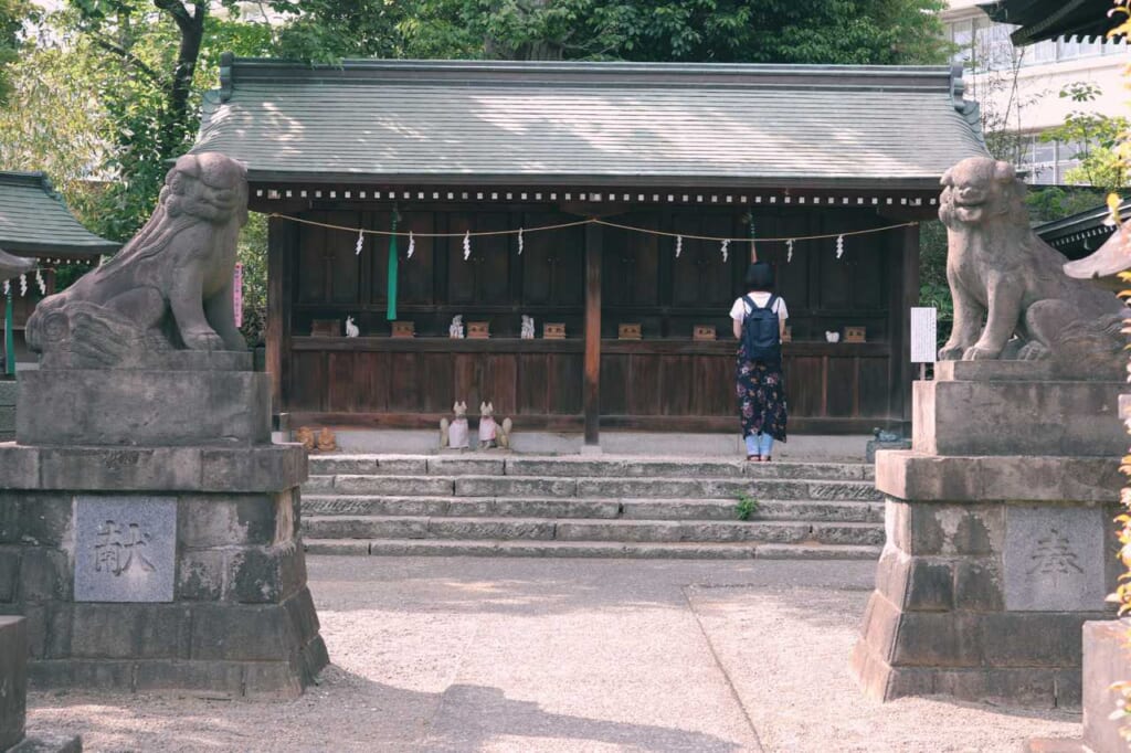 Girl praying at Hachiman shrine