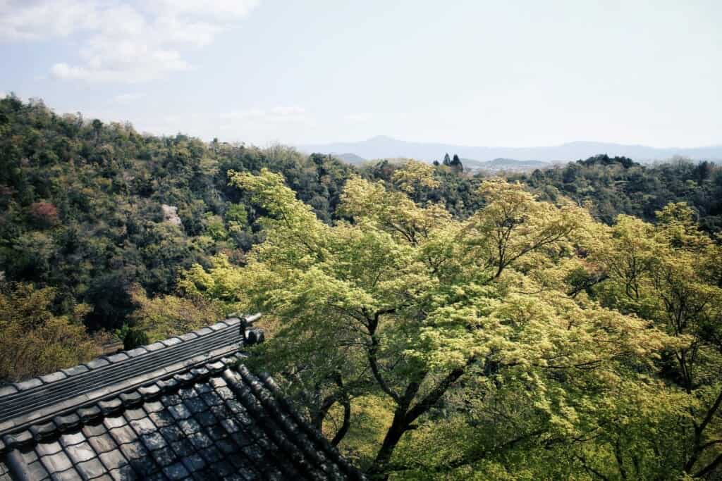 A view of Kyoto City from Daihikaku Senkoji