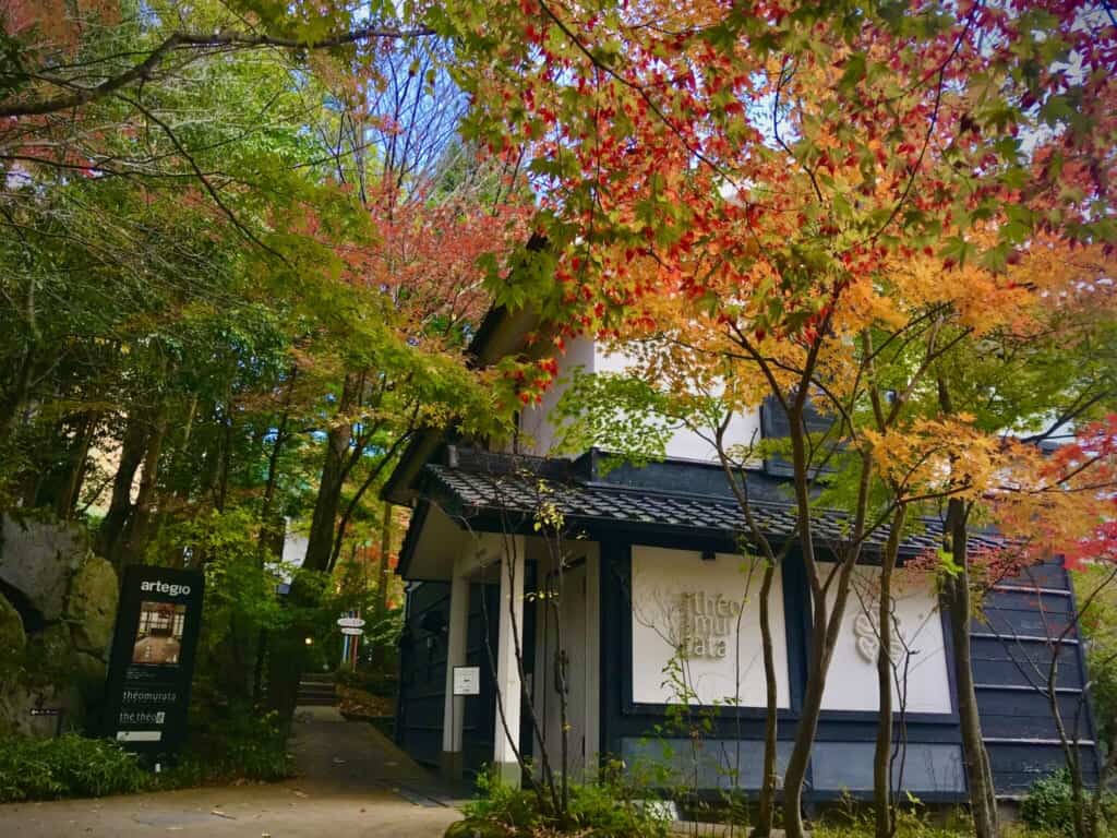 Autumn leaves in front of a Japanese building