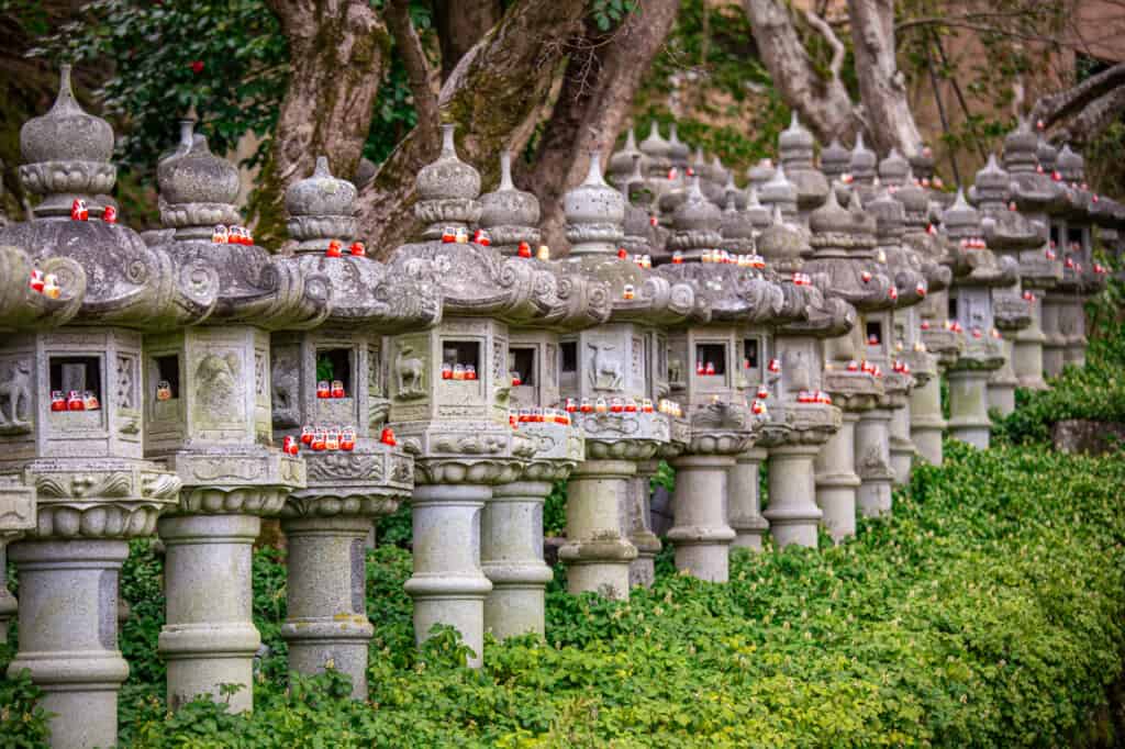 small daruma in stone lanterns