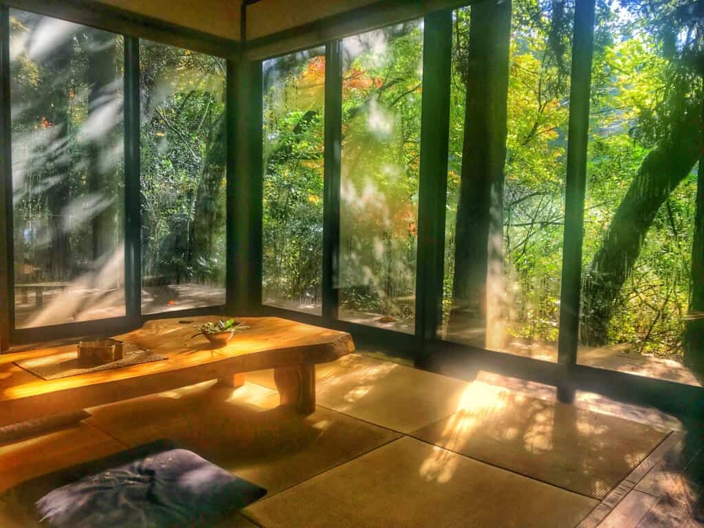 Sennomori Kawasemi in traditional tatami room in ryokan inn in kumamoto, japan